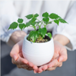 SDGsへの取り組み